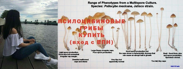 2c-b Верхний Тагил